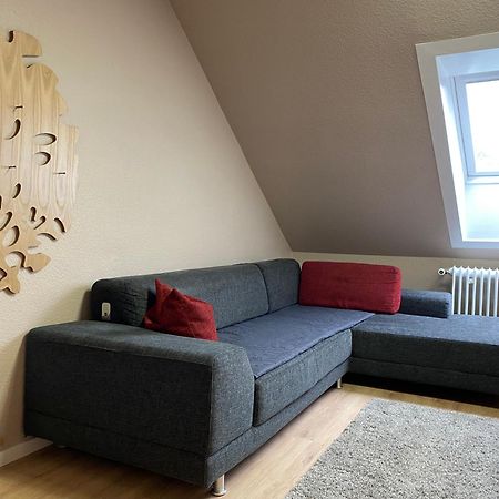 S-Villa Apartments Im Schwarzwald Schiltach Exteriör bild