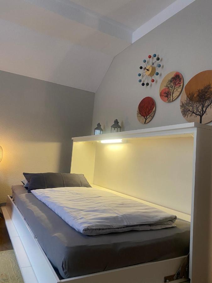 S-Villa Apartments Im Schwarzwald Schiltach Exteriör bild