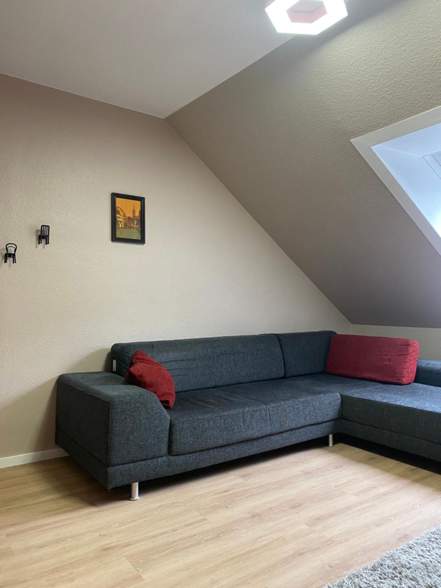 S-Villa Apartments Im Schwarzwald Schiltach Exteriör bild